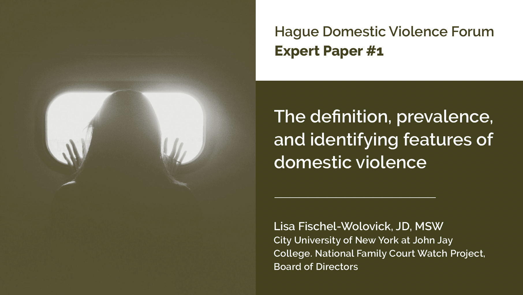 Expert Paper 1: The definition, prevalence, and identifying features of domestic violence