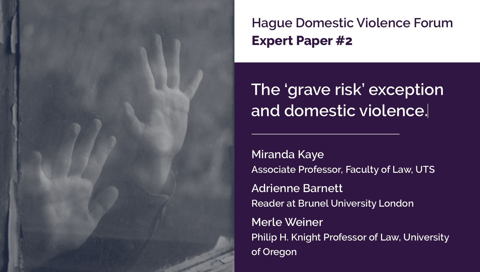 Expert Paper 2: The ‘grave risk’ exception and domestic violence