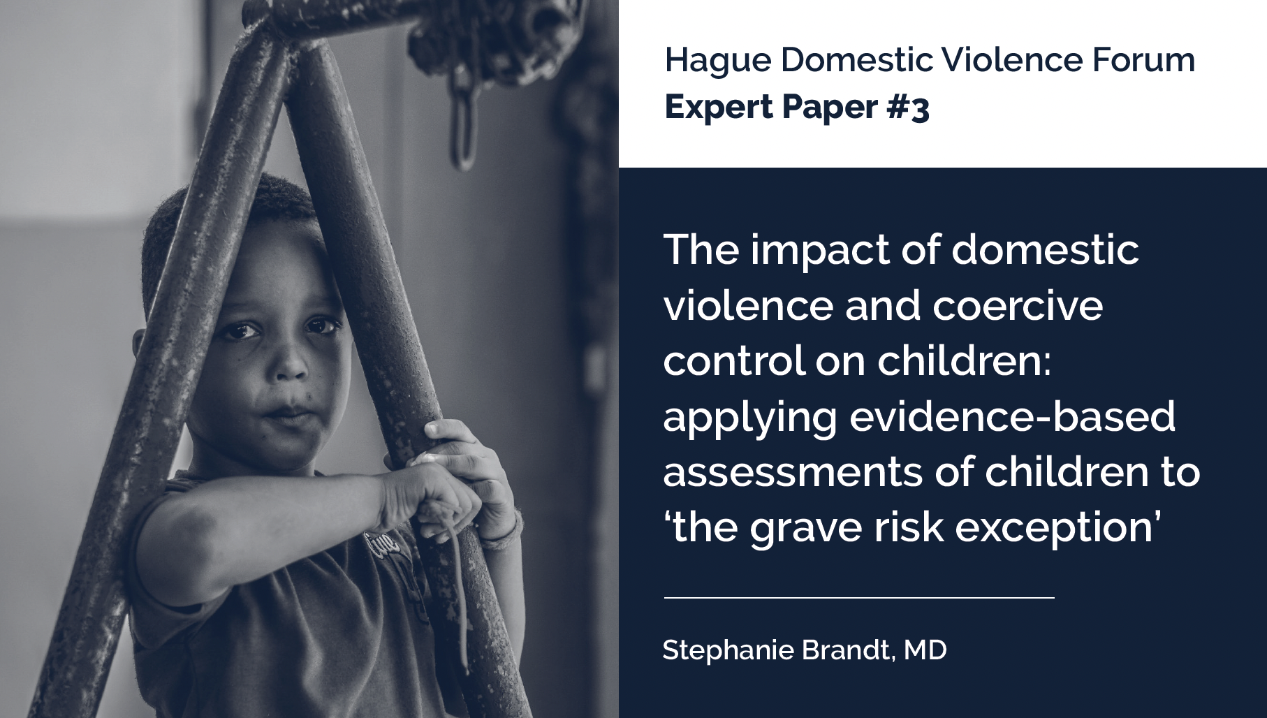 Expert Paper 3: The impact of domestic violence and coercive control on children: applying evidence-based assessments of children to ‘the grave risk exception’