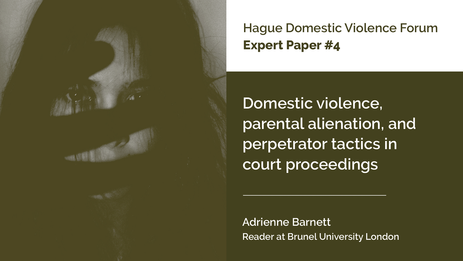 Expert Paper 4: Domestic violence, parental alienation, and perpetrator tactics in court proceedings