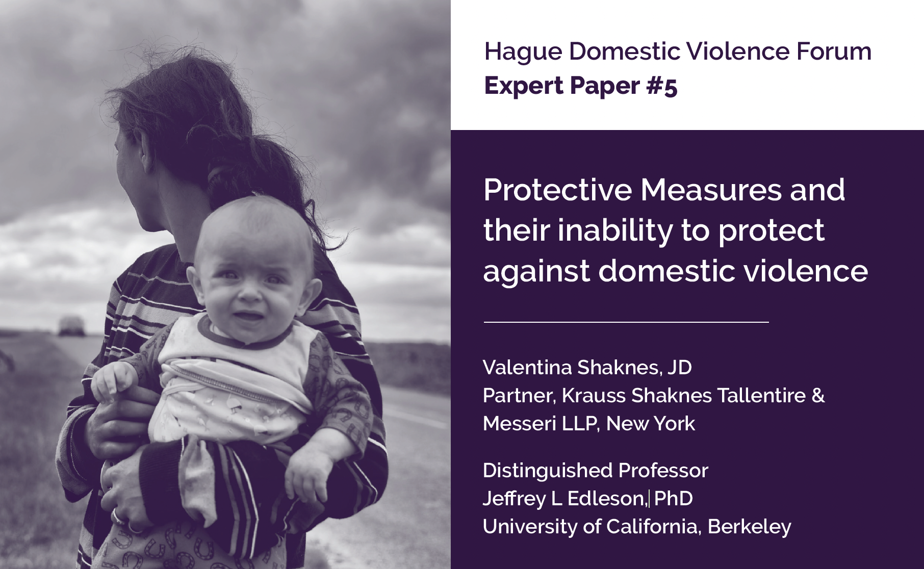 Expert Paper 5: Protective Measures and their inability to protect against domestic violence