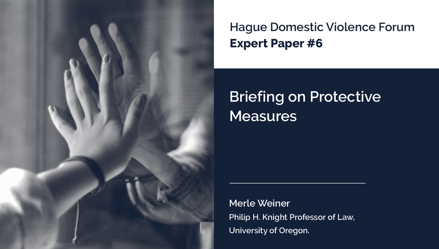 Expert Paper 6: Briefing on Protective Measures