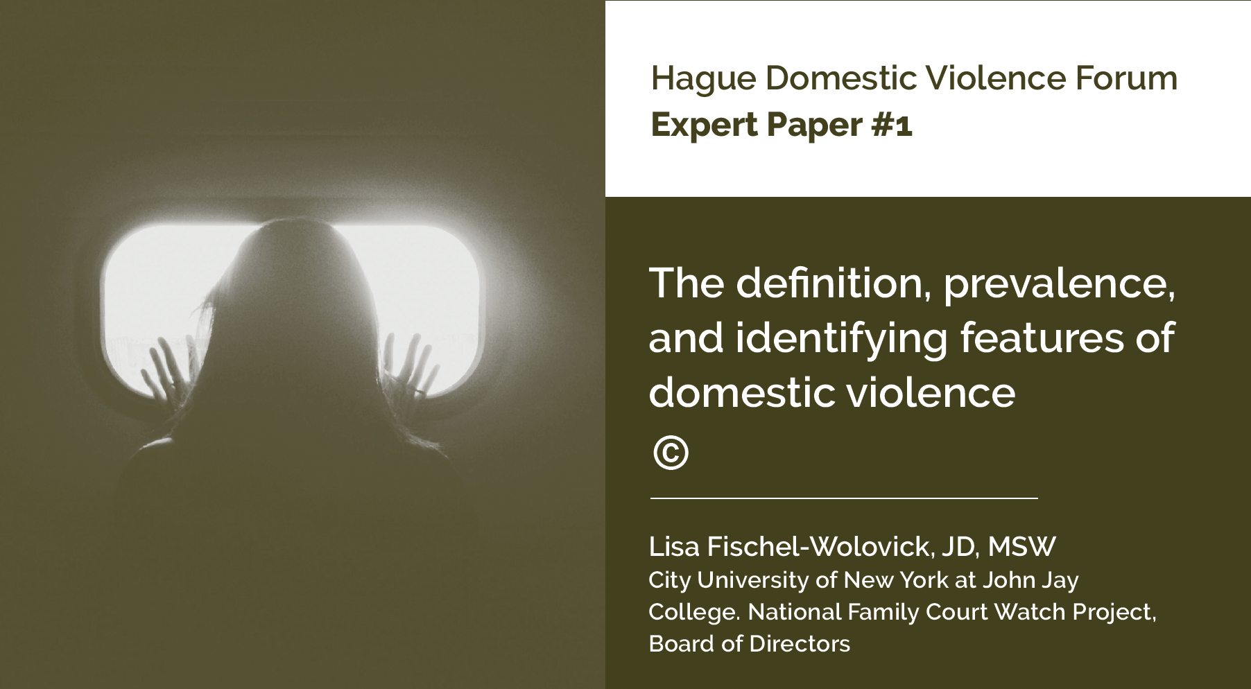 Expert Paper 1: The definition, prevalence, and identifying features of domestic violence